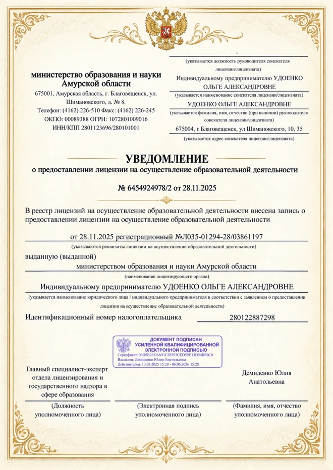Уведомление Министерства образования и науки Амурской области о предоставлении лицензии от 28.11.2025